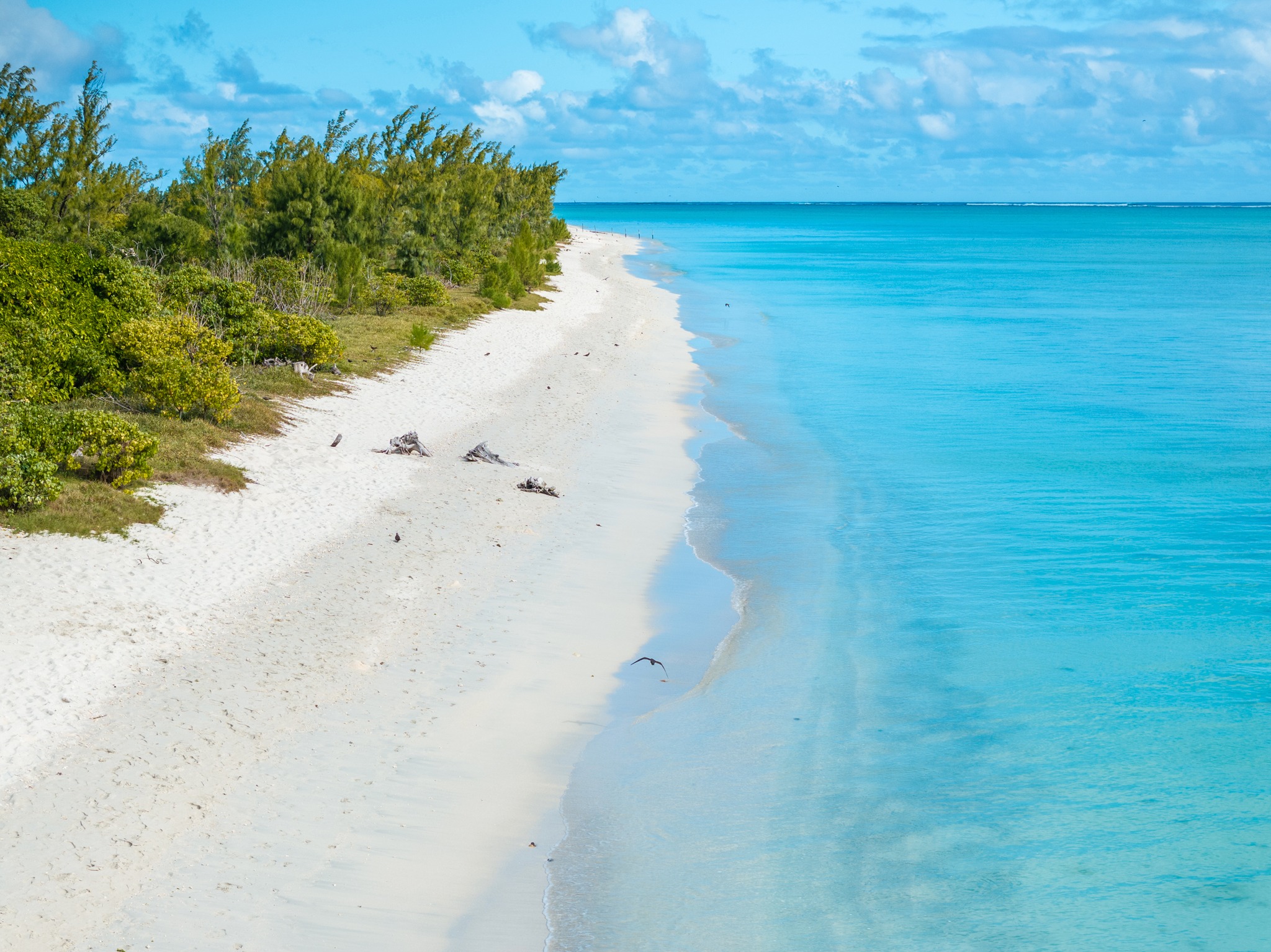 Île aux Cocos